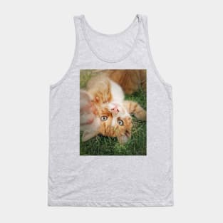 orange kitten lying upside down Tank Top